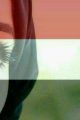 عشقتُ رافضية!!